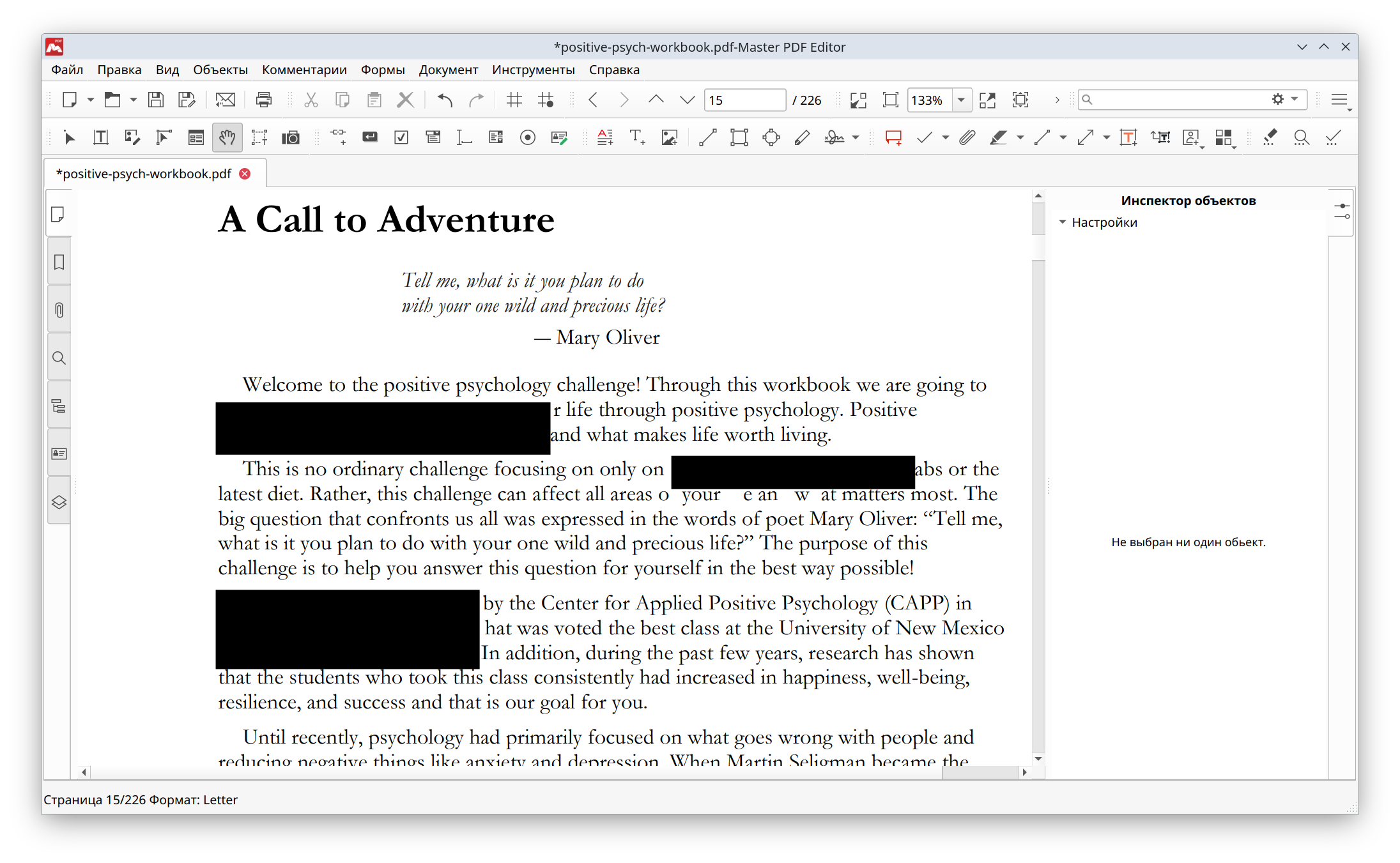 Затёртые области в Master PDF Editor